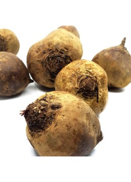 Rdeča pesa 1 kg (Kmetija Janžekovič)