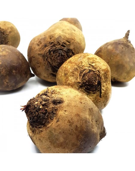 Rdeča pesa 1 kg (Kmetija Janžekovič)