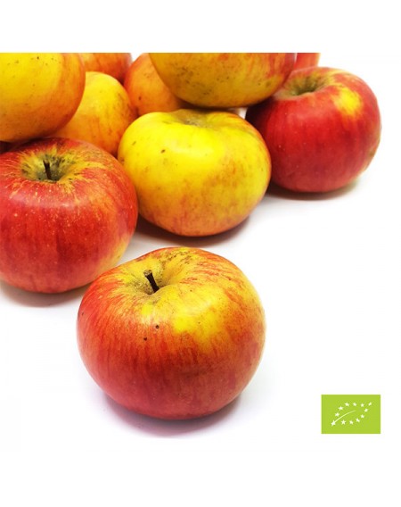 Eko jabolka Topaz 9 kg (Eko kmetija Podgraj&scaron;ek)