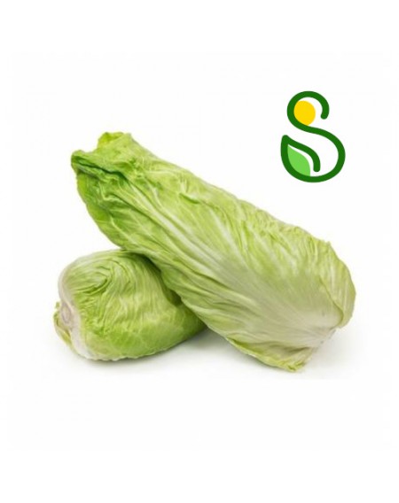 Eko zeleni radič &scaron;trucar 1 kg (Eko pridelava zelenjave Sre&scaron;)