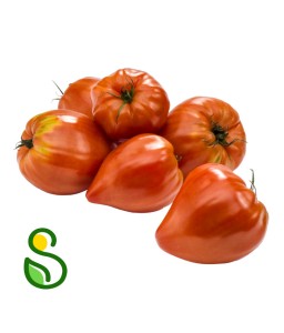 Eko paradižnik volovsko srce 1 kg (Eko pridelava zelenjave Sreš)