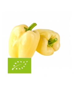 Eko paprika babura rumena 1 kg (Eko kmetija Volk)