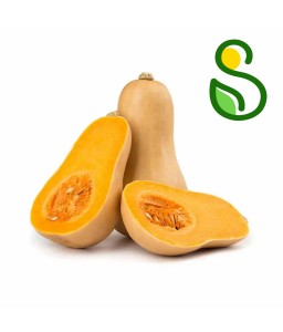 Eko buča maslenka 2 kg (Eko pridelava zelenjave Sreš)