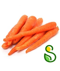 Eko korenje 1 kg (Eko pridelava zelenjave Sreš)