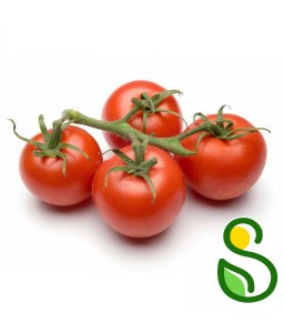 Eko paradižnik solatni 1 kg (Eko pridelava zelenjave Sreš)