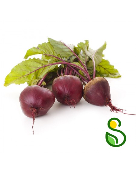 Eko rdeča pesa 1 kg (Eko pridelava zelenjave Sre&scaron;)